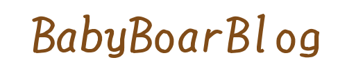 BabyBoarBlog